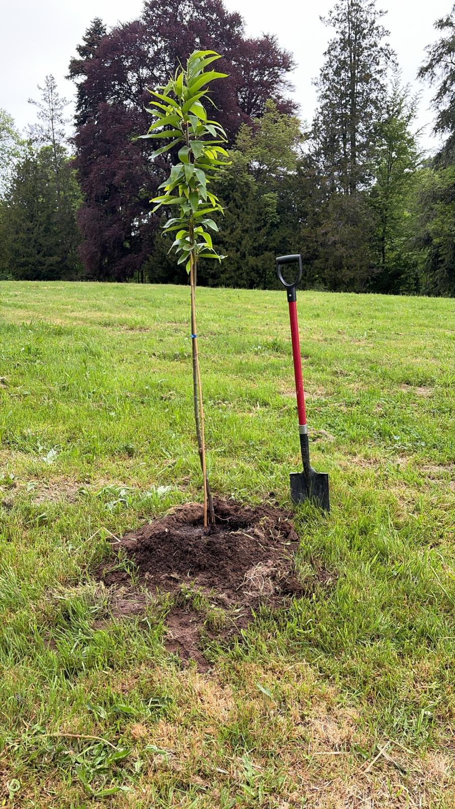 image-8788